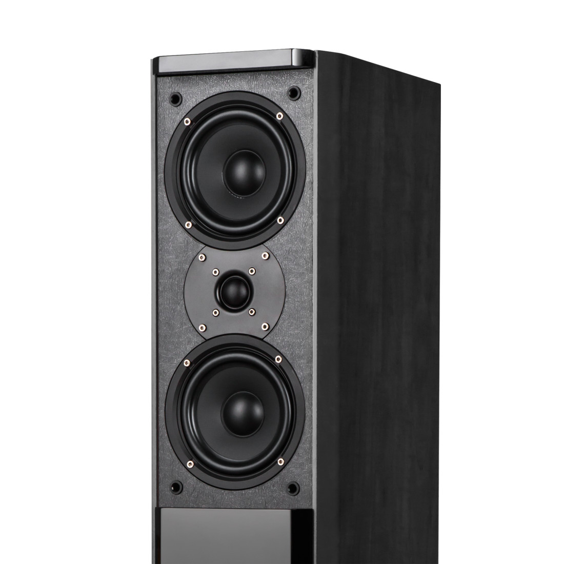 SISTEM AUDIO PASSION NEGRU KRUGER&MATZ